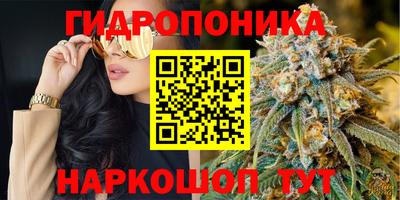 jwh Обь